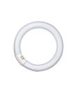 LEDVANCE Osram L 40W/840 CL 40W/840C ring-shaped tube white G10q