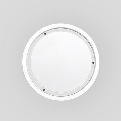Spittler 304175 LED wall and ceiling light 4000K 1x14W Power LED symmetrical diffuser optics