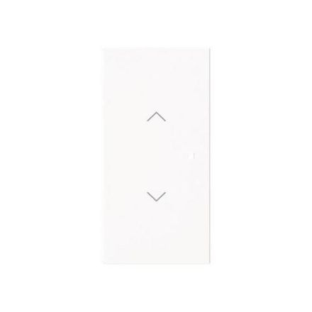 Busch-Jaeger 2CKA006220A0965 6232-20-44M 2-fmSymbol blind rocker