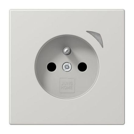 Jung BTLS1521FSLG HOME French Belgian socket