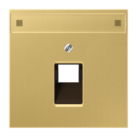 Jung ME2969-1NAUAC cover for IAE/UAE connection boxes 1 x 8-pin, with label field, brass, LS series, brass classic