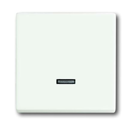 Busch-Jaeger 6543-884-101 control element, with glow lamp studio white matt