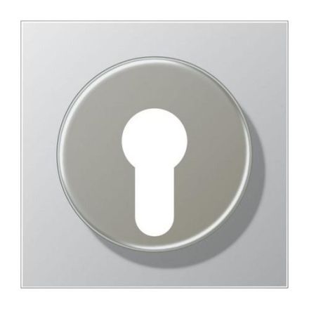 Jung AL2928 Cover for key switch with dismantling protection, LS series, aluminum