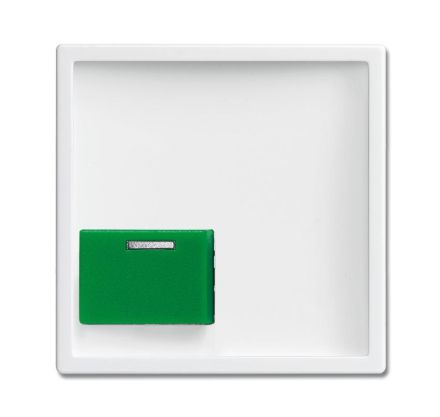 Busch-Jaeger 2548-642 C-84 central plate studio white