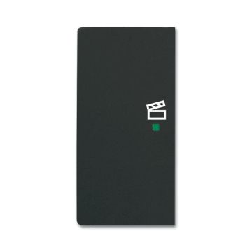 Busch-Jaeger 6233-21-885 rocker switch, 2-way left, with symbol 'Scene' black matt