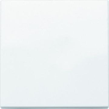 HHG 92522001 Rocker for off-changeover cross switch