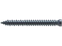 Reisser 000194S021-0750722-1 window frame screw RN 0194, cylinder head 8mm, TX30, double thread, 7.5 X 72, steel, galvanized, blue pass., packed in 100 pieces