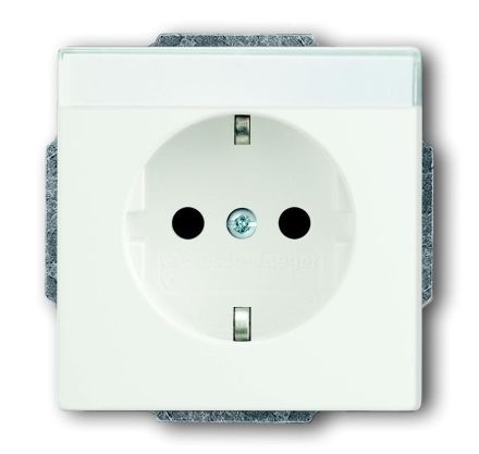 Busch-Jaeger 20 EUN-884 SCHUKO® socket insert, with labelling field, studio white matt