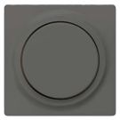 Siemens 5TC8903 cover plate carbon metallic