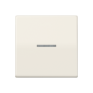 Jung FMAS1700 eNet Standard radio control button