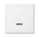 Busch-Jaeger 6543-914-102 Control element, with neon lamp alpine white Busch-Jaeger 6543-914-102 Control element, with neon lamp alpine white