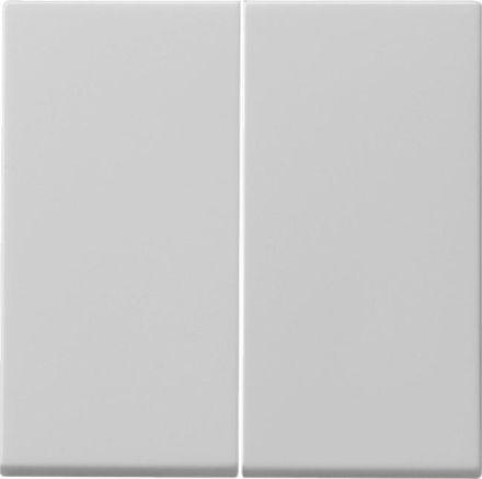 Gira 0915015 2f push button switch Sys 55 grey rocker