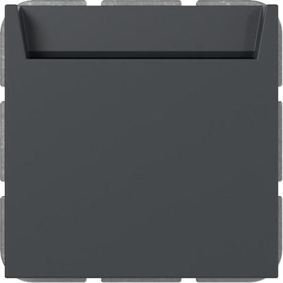 Gira 314028 bel.BSF Sys.55 anthr Hotel Card Changer