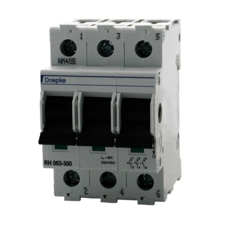 Doepke 09981064 RH 100-300 main switch