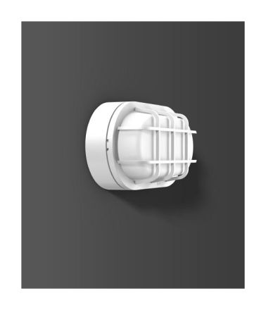 RZB 582064.002 Alu-Lux oval 12W 440lm 830 white LED wall / ceiling light