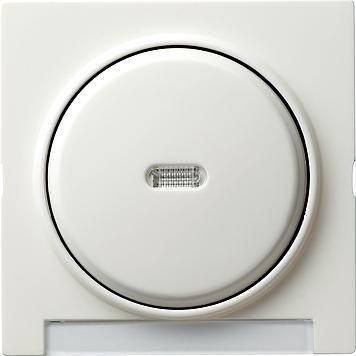 Gira 067040 rocker control BSF S-Color pure white