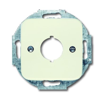 Busch-Jaeger 2534-212 central plate, with white support ring