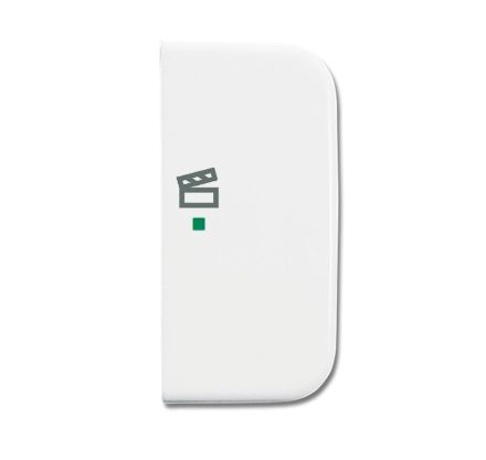 Busch-Jaeger 6233-22-214 Rocker switch, 2-way right, with symbol 'Scene' alpine white