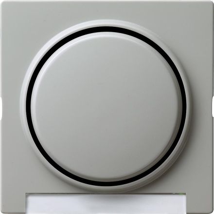 Gira 029942 cover BSF + rocker S-Color grey