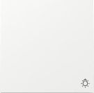 Gira 328570 Sym.Light FL RW rocker