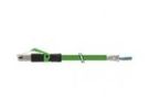 Murrelektronik 7000-74101-7961000 RJ45 PUR 2x2x0.34 shielded green UL CSA 10m plug