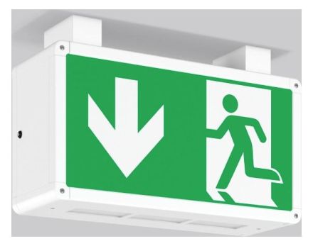 RZB 651069.002.1 Ceiling Rectangle 360 LED emergency light