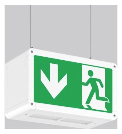 RZB 671343.002.1 Pendant Rectangle 250 LED emergency light
