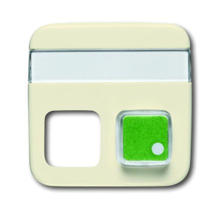Busch-Jaeger 1572 CN-212 central plate, 2-way, with labeling field white