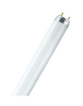 LEDVANCE Osram L15W/865 fluorescent lamp 15W Daylight
