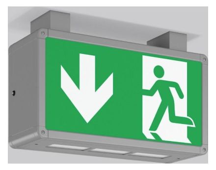 RZB 651069.004.1 Ceiling Rectangle 360 LED emergency light