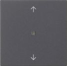 Gira 538228 S3000 BT arrows System 55 anthra operating unit