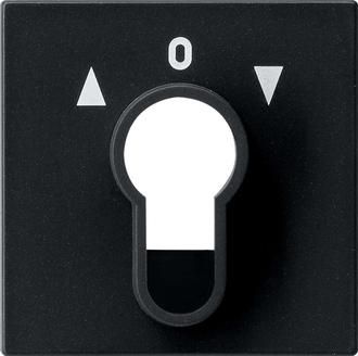 Gira 0664005 key switch/button cover