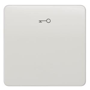 Siemens 5TG7808 rocker with symbol titanium white