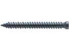 Reisser 000194S021-0751829-1 window frame screw RN 0194, cylinder head 8mm, TX30, double thread, 7.5 X182, steel, galvanized, blue pass., packed in 50 pieces