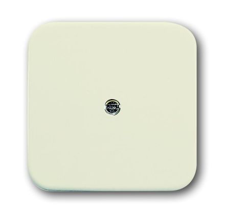 Busch-Jaeger 2536-212 central plate white