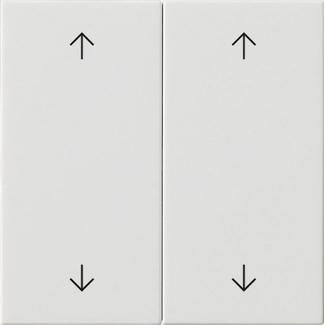 Gira 538703 2f arrows Sys 55 rw rocker