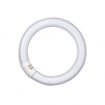 LEDVANCE Osram L22W/865CG10Q fluorescent lamp 22W