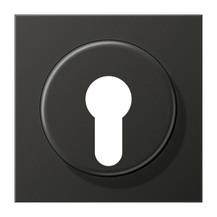Jung AL2928AN cover for key switch with dismantling protection, painted aluminium, LS series, anthracite (painted aluminium)