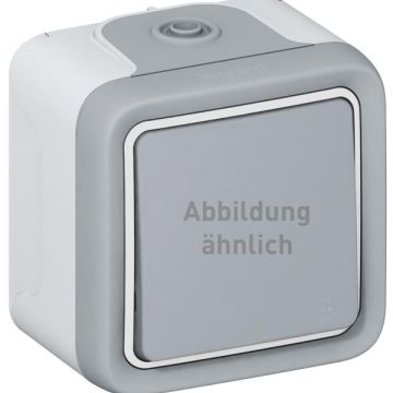 Legrand 069726 rocker switch Plexo IP55 69726 off- 2-pole control FR AP, (grey)