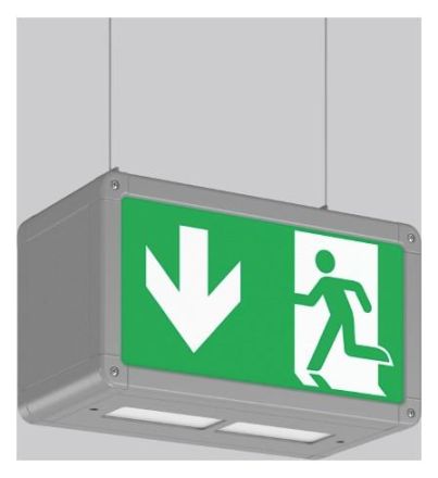 RZB 671343.004.1.04 Pendant Rectangle 250 LED emergency light