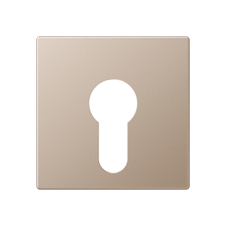 Jung A525PLCH cover for key switch without dismantling protection, thermoplastic painted, series A, champagne