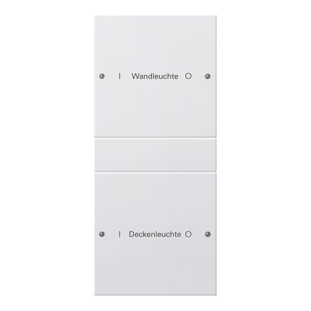 GIRA 220203 TS3 rocker set for label service System 55 | 2-way (1+1) | pure white glossy