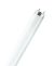 LEDVANCE Osram L36W/840 fluorescent lamp 36W Coolwhite