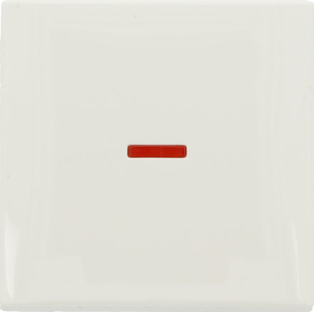 Klein K552520/04BB control rocker, alpine white