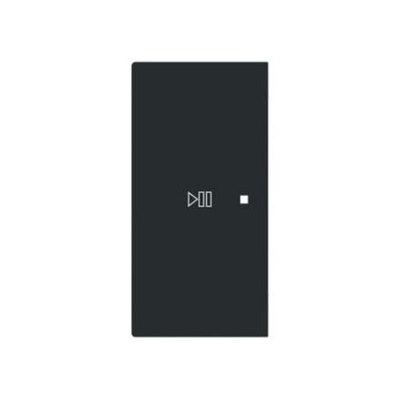 Busch-Jaeger 2CKA006220A0979 6237-21-45M 2-f.left symbol play/pause rocker