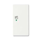 Busch-Jaeger 6233-22-884 Rocker switch, 2-way right, with symbol 'Scene' studio white matt