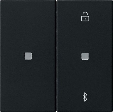 Gira 5381005 S3000 BT System 55 sw with blind and timer