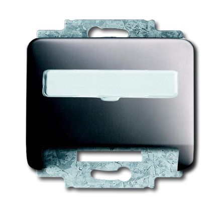 Busch-Jaeger 1758-20 central plate, with support ring platinum