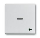 Busch-Jaeger 1789 ST-83 rocker with print, with small transparent dome aluminum silver