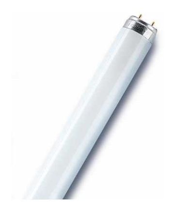 LEDVANCE Osram L36W/865 fluorescent lamp 36W Daylight
